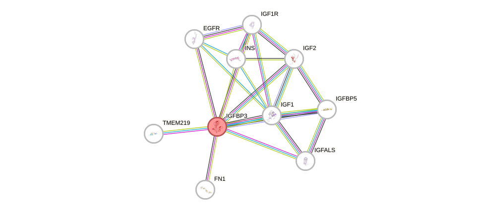 Protein-Protein network diagram for IGFBP3