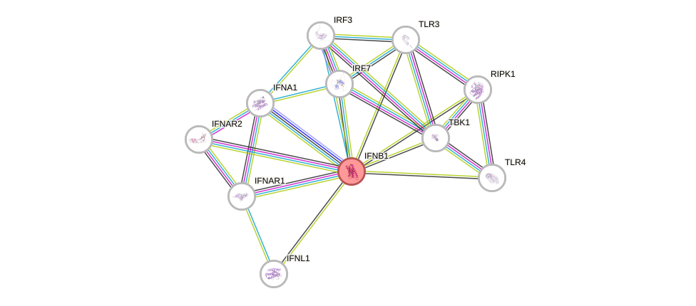 Protein-Protein network diagram for IFNB1