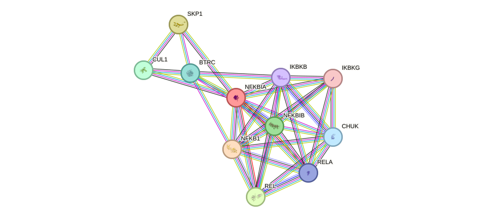 Protein-Protein network diagram for NFKBIA