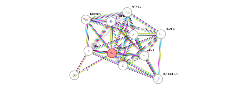 Protein-Protein network diagram for IKBKB