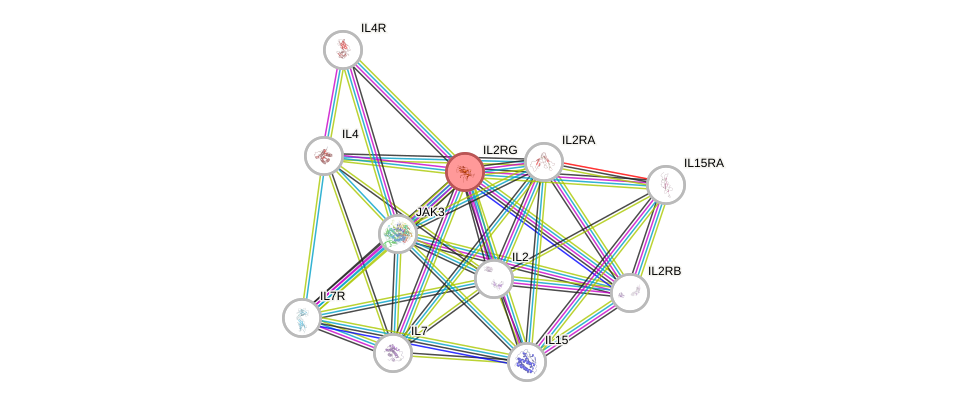 Protein-Protein network diagram for IL2RG