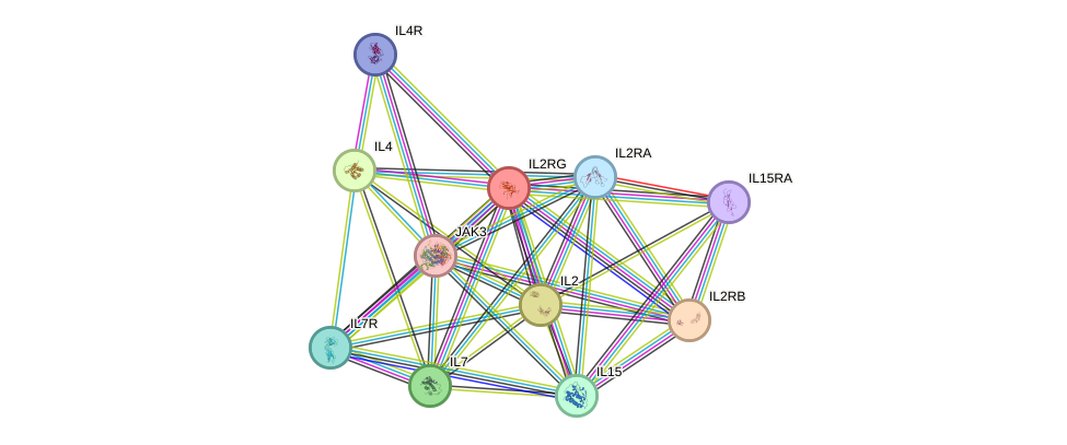 Protein-Protein network diagram for IL2RG