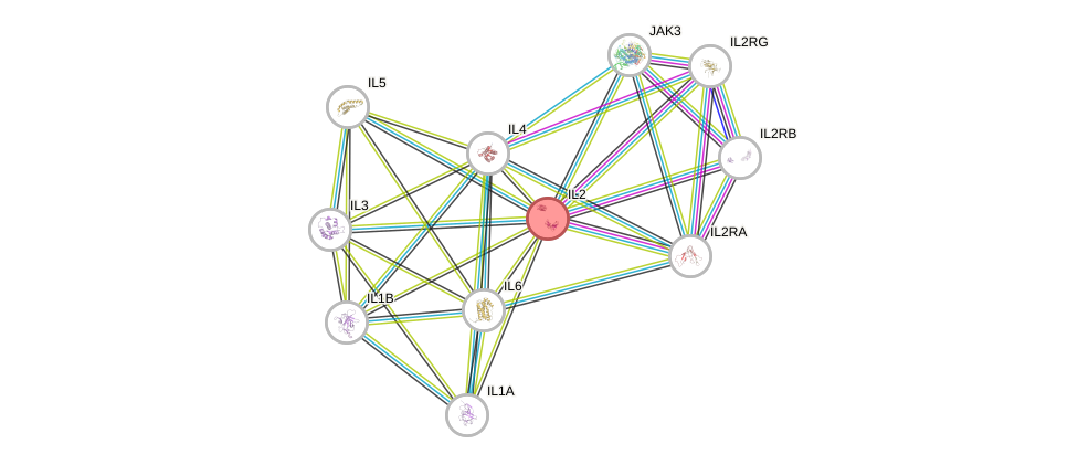 Protein-Protein network diagram for IL2