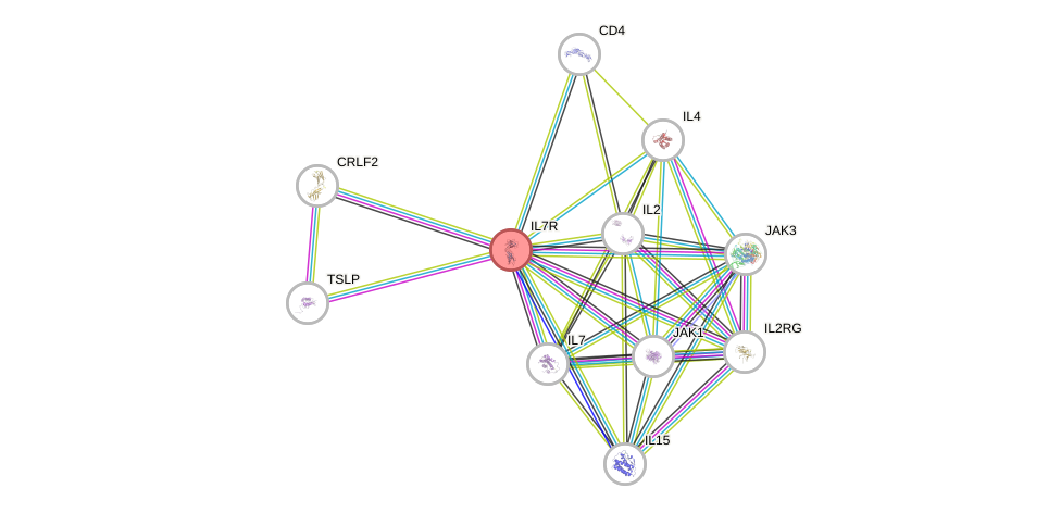 Protein-Protein network diagram for IL7R