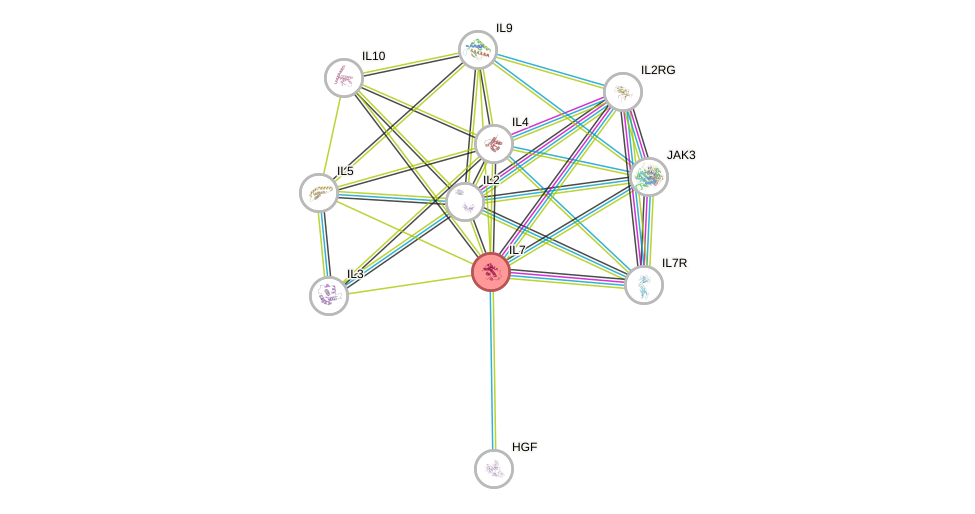 Protein-Protein network diagram for IL7