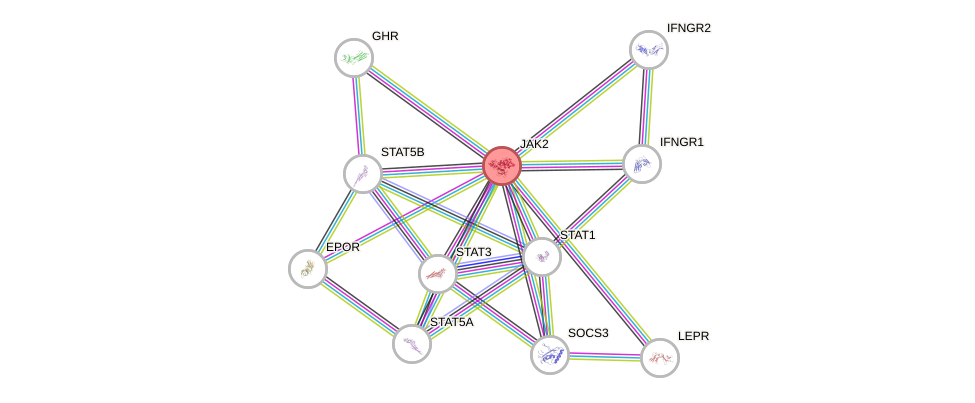 Protein-Protein network diagram for JAK2