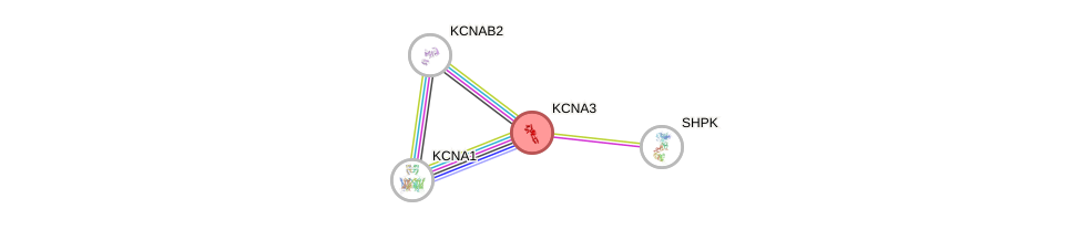 Protein-Protein network diagram for KCNA3