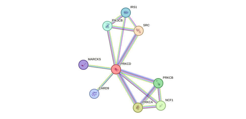 Protein-Protein network diagram for PRKCD