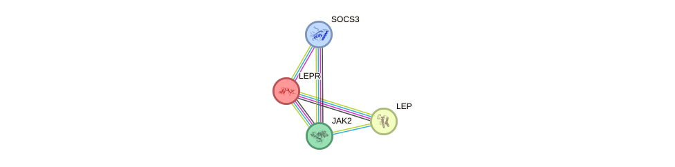 Protein-Protein network diagram for LEPR