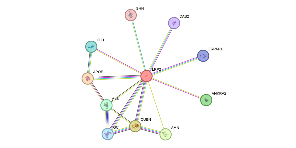 Protein-Protein network diagram for LRP2