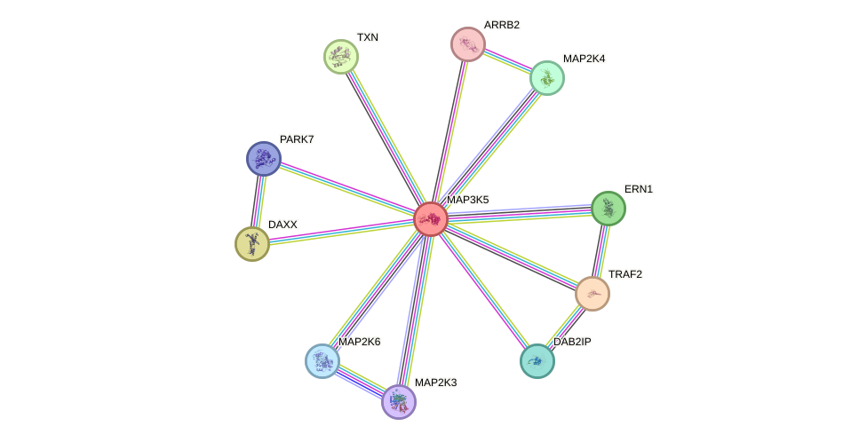 Protein-Protein network diagram for MAP3K5