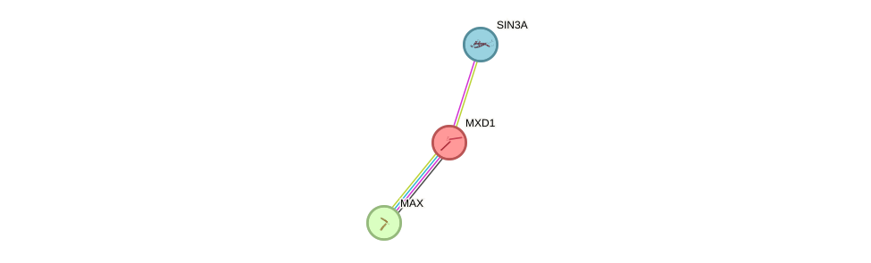 Protein-Protein network diagram for MXD1