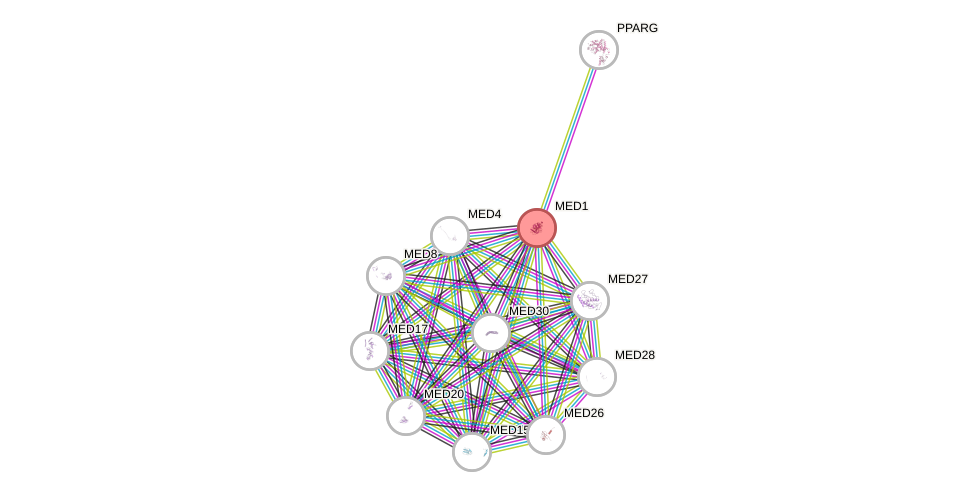 Protein-Protein network diagram for MED1