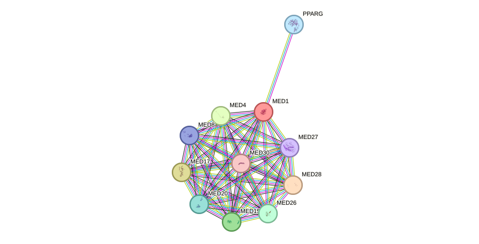 Protein-Protein network diagram for MED1