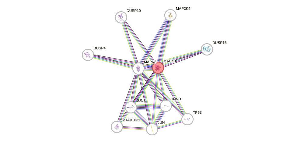Protein-Protein network diagram for MAPK9