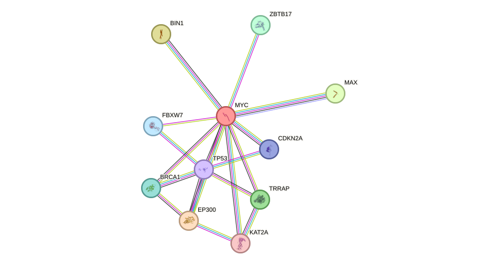 Protein-Protein network diagram for MYC