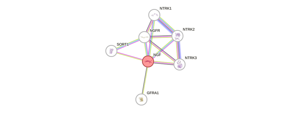 Protein-Protein network diagram for NGF
