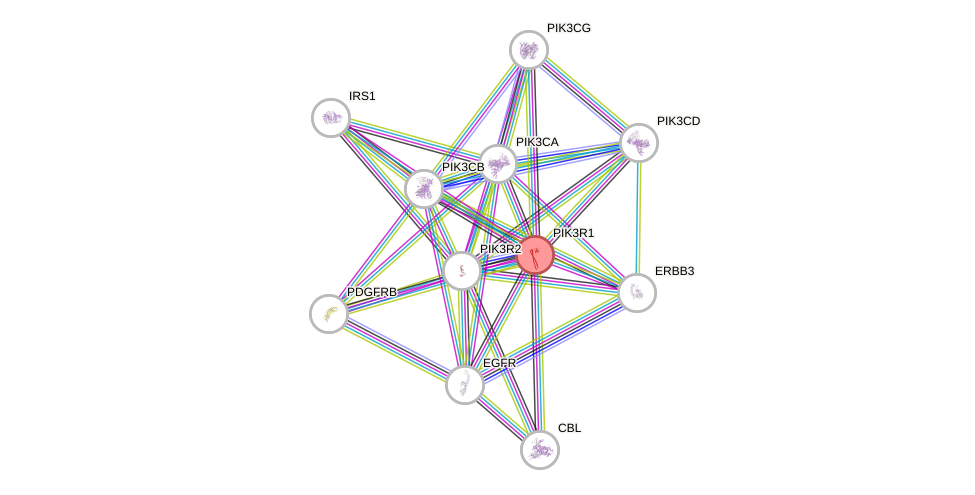 Protein-Protein network diagram for PIK3R1