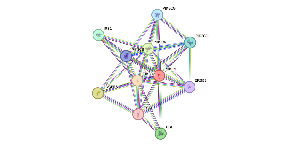 Protein-Protein network diagram for PIK3R1