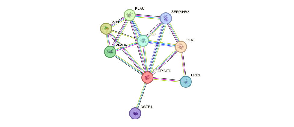 Protein-Protein network diagram for SERPINE1