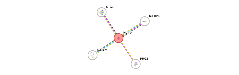 Protein-Protein network diagram for PAPPA