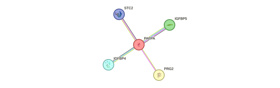 Protein-Protein network diagram for PAPPA