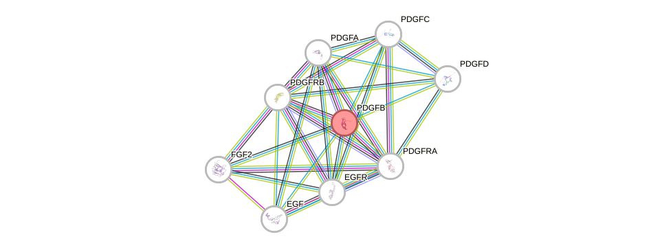 Protein-Protein network diagram for PDGFB