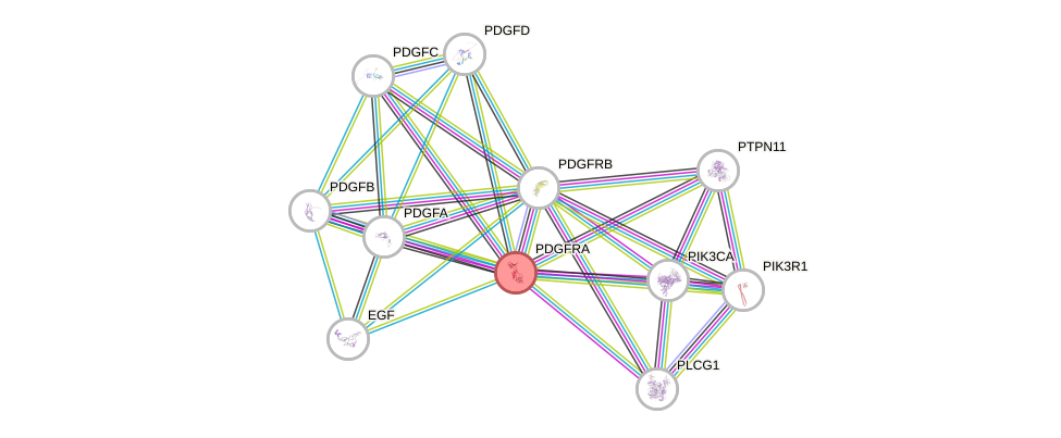 Protein-Protein network diagram for PDGFRA