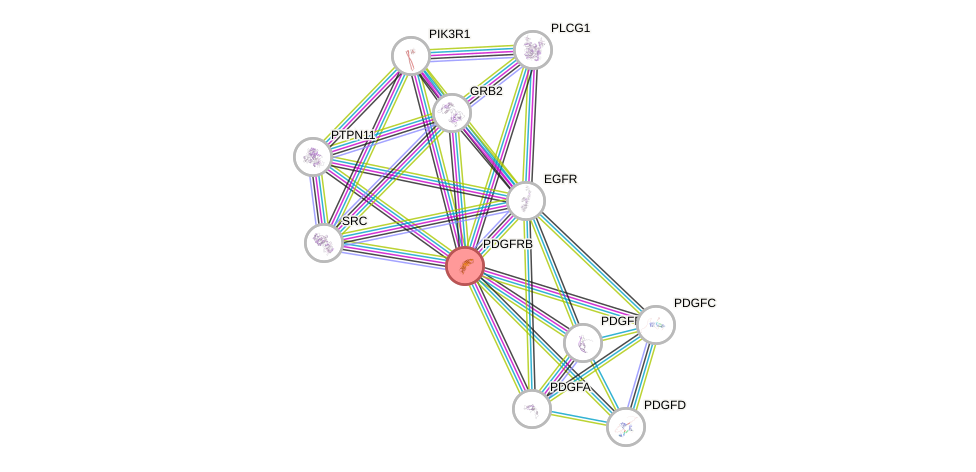 Protein-Protein network diagram for PDGFRB