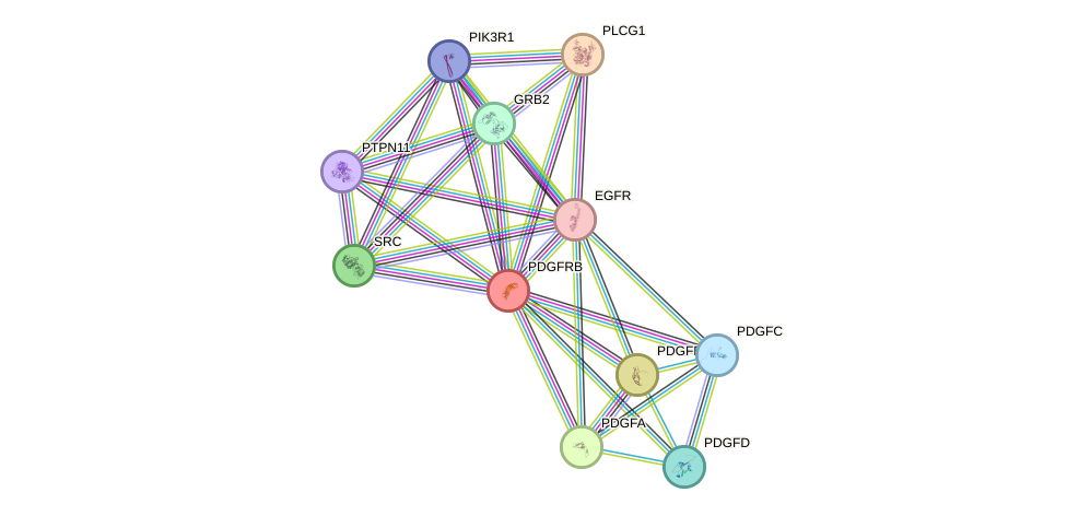 Protein-Protein network diagram for PDGFRB