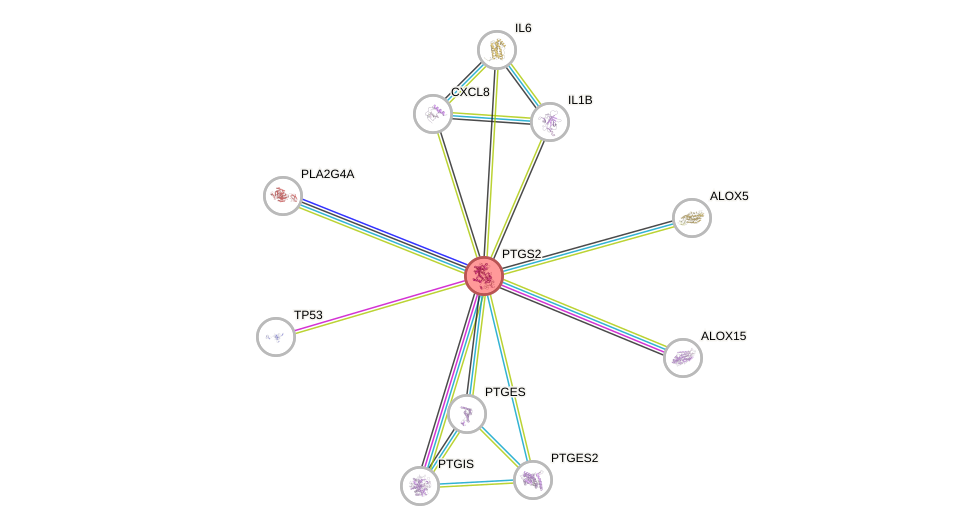 Protein-Protein network diagram for PTGS2