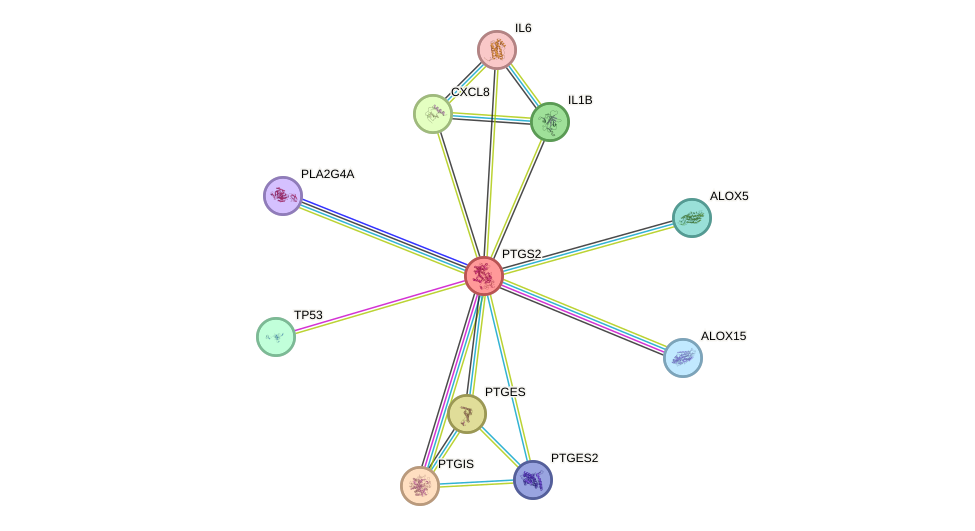 Protein-Protein network diagram for PTGS2