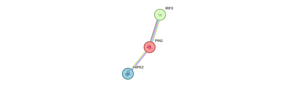 Protein-Protein network diagram for PIN1