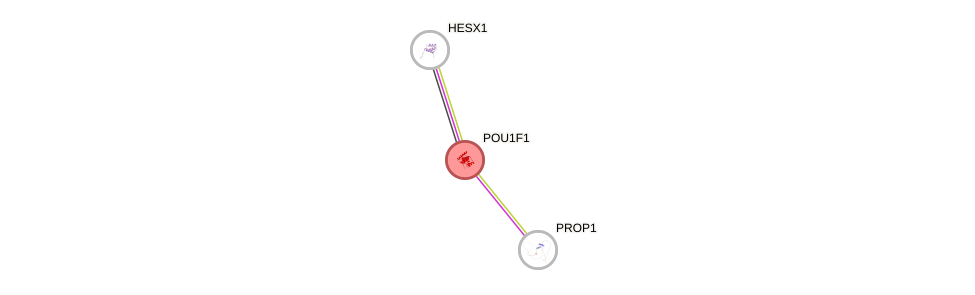 Protein-Protein network diagram for POU1F1