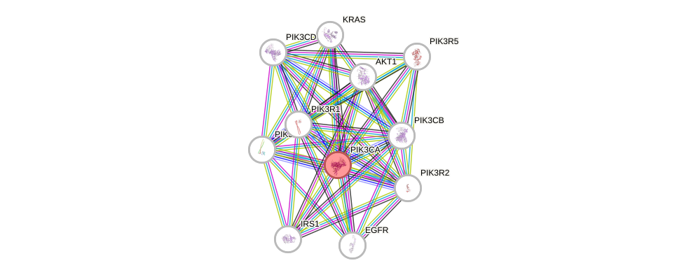 Protein-Protein network diagram for PIK3CA