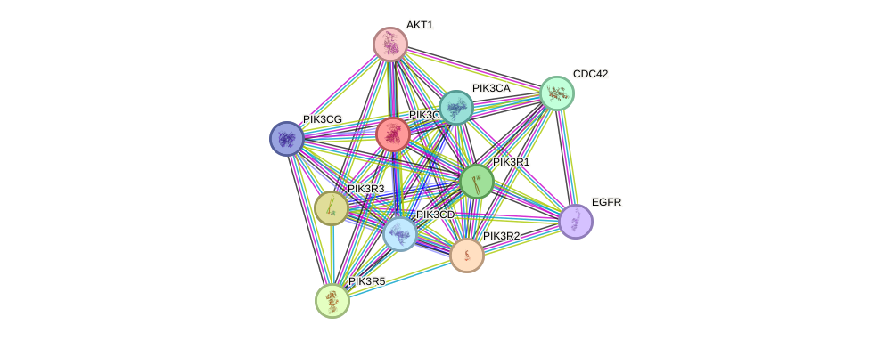 Protein-Protein network diagram for PIK3CB