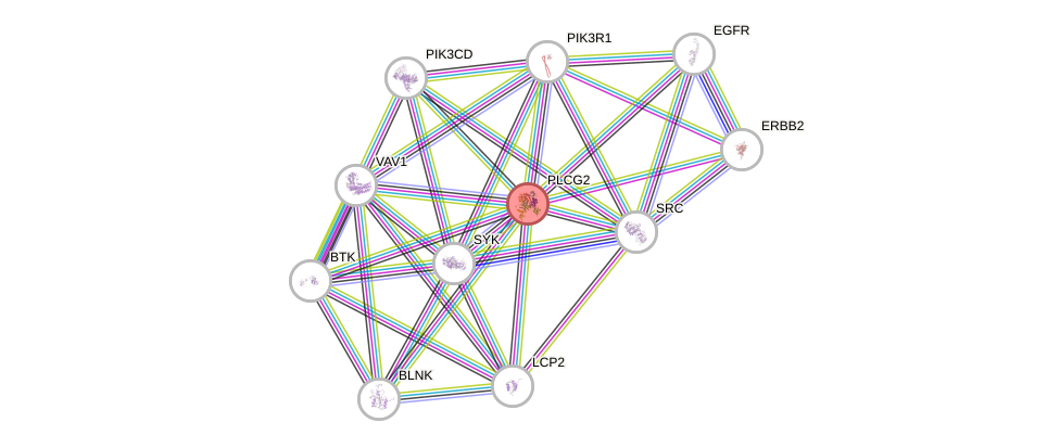 Protein-Protein network diagram for PLCG2