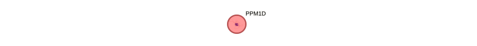 Protein-Protein network diagram for PPM1D