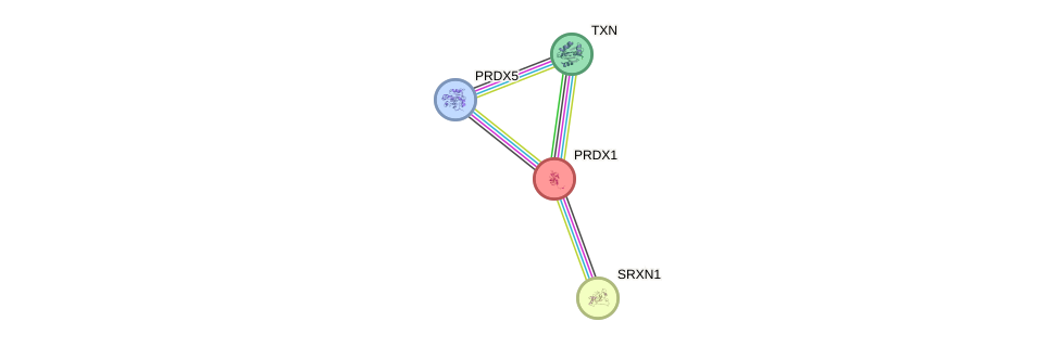 Protein-Protein network diagram for PRDX1