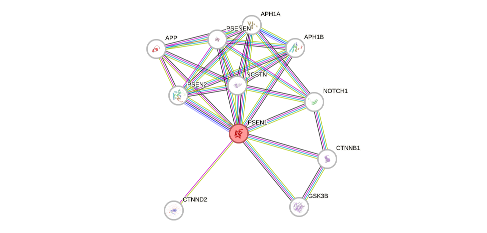 Protein-Protein network diagram for PSEN1