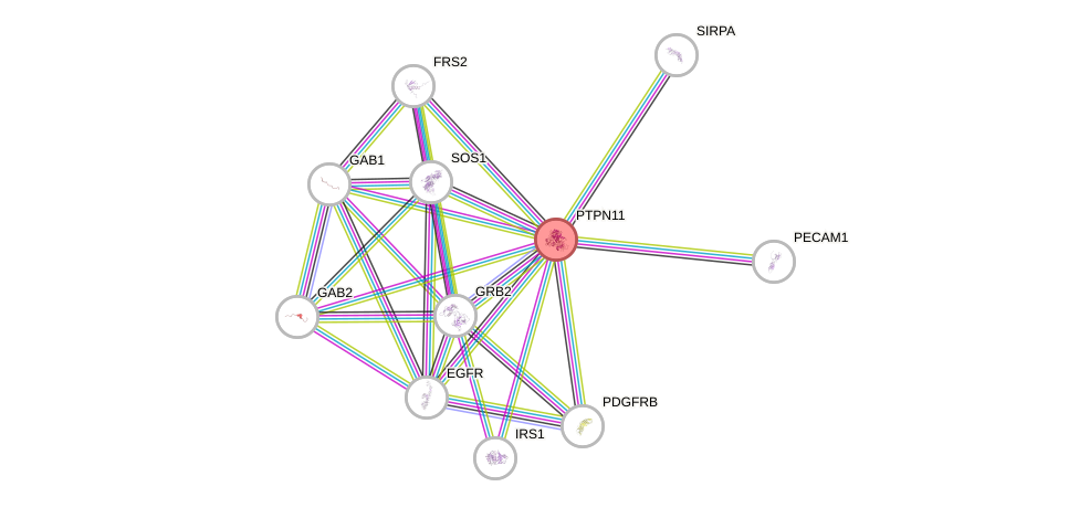 Protein-Protein network diagram for PTPN11