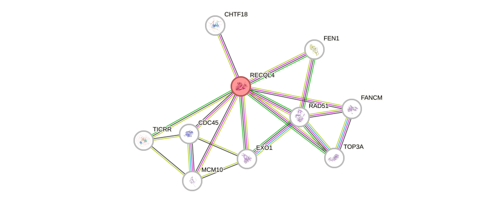 Protein-Protein network diagram for RECQL4