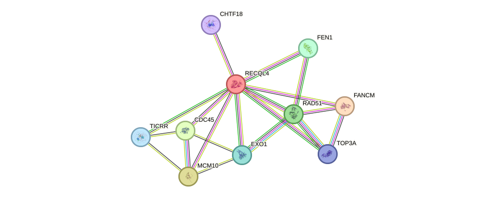 Protein-Protein network diagram for RECQL4