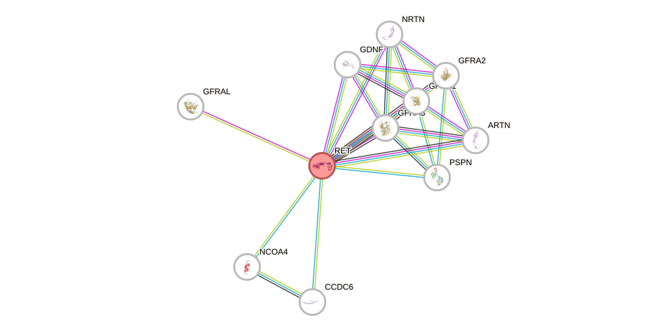 Protein-Protein network diagram for RET