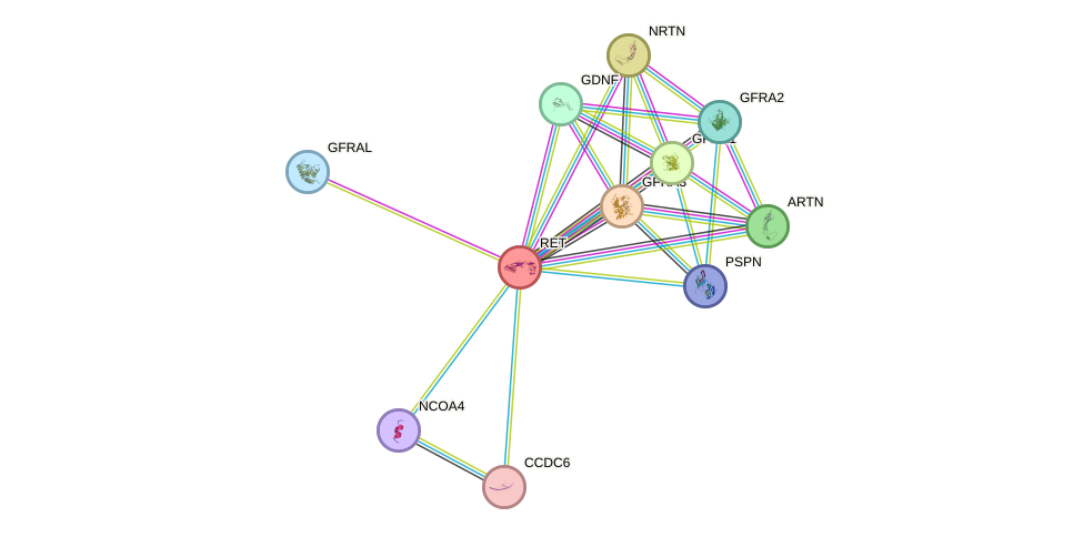 Protein-Protein network diagram for RET