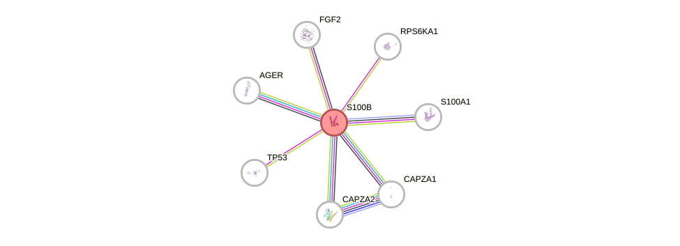 Protein-Protein network diagram for S100B
