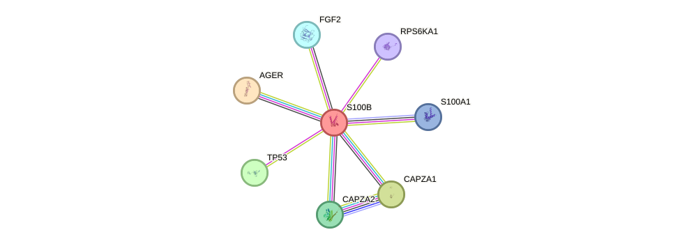 Protein-Protein network diagram for S100B