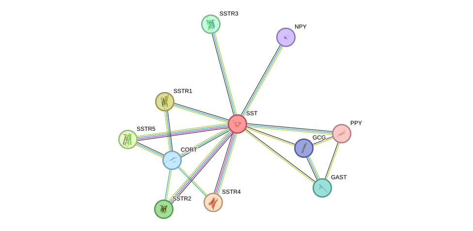 Protein-Protein network diagram for SST
