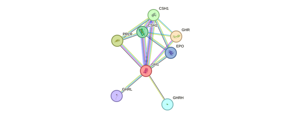 Protein-Protein network diagram for GH1