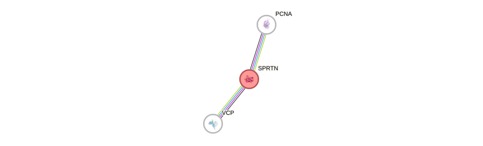 Protein-Protein network diagram for SPRTN